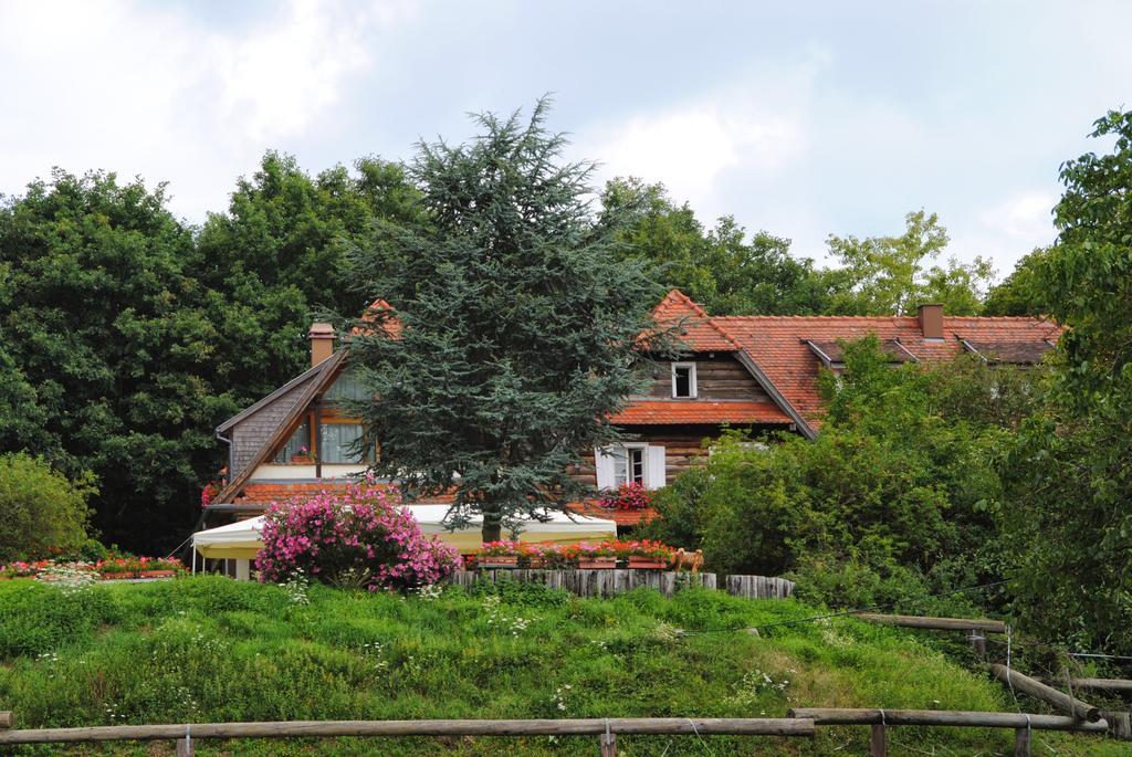 Bed and Breakfast Le Neufeld Oberhaslach Exteriér fotografie