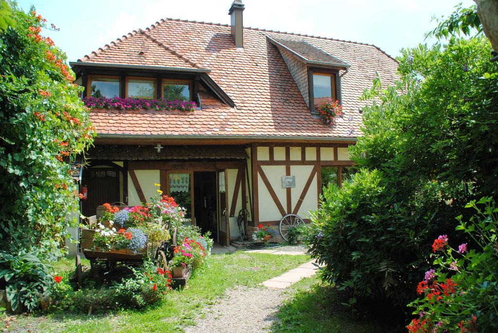 Bed and Breakfast Le Neufeld Oberhaslach Exteriér fotografie