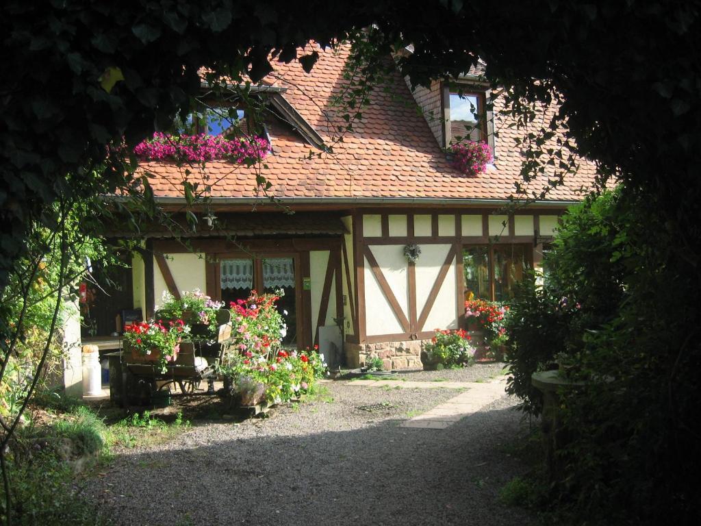 Bed and Breakfast Le Neufeld Oberhaslach Exteriér fotografie